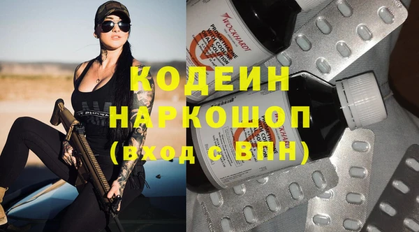 шишки Алексин