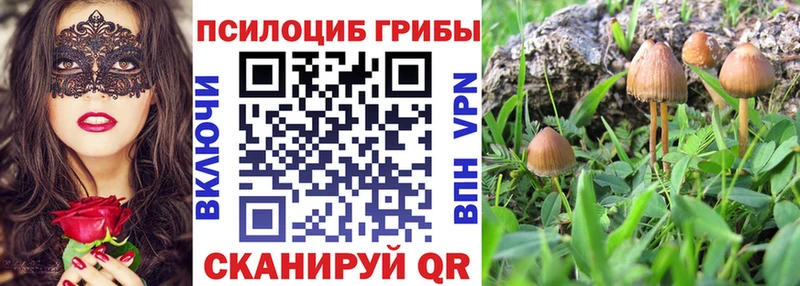 Псилоцибиновые грибы прущие грибы  ссылка на мегу   Мензелинск 